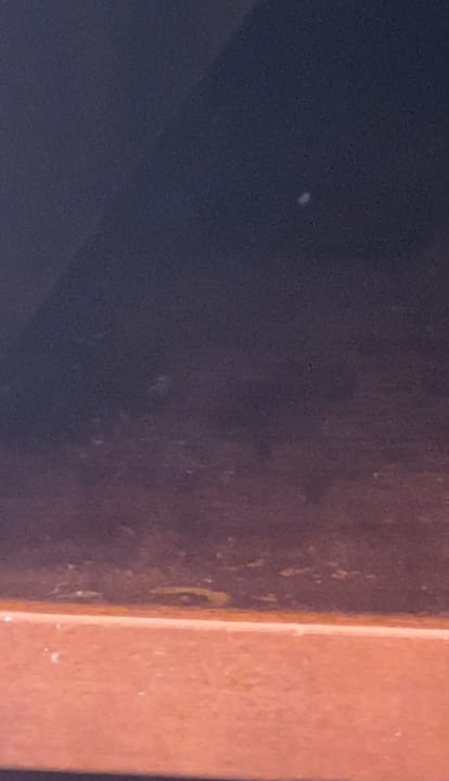 Zimmer Grand Hotel Portoroz - LifeClass Hotels & Spa