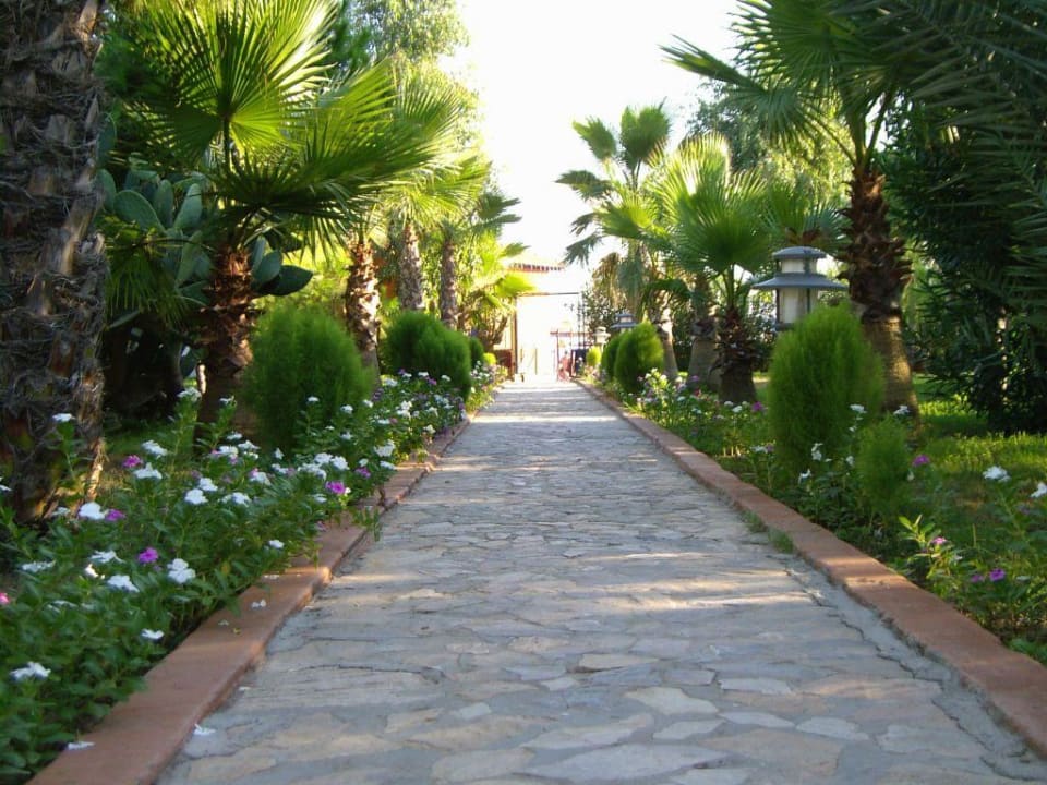 Weg zum Strand Club Turtas Beach Hotel