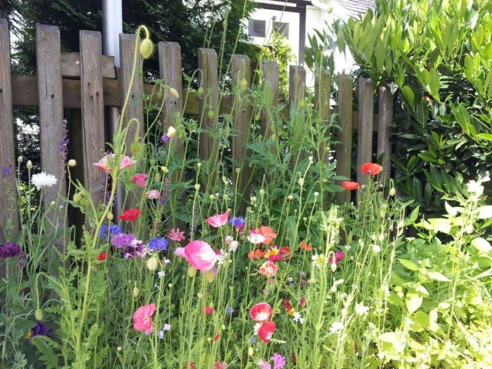 Im Sommer Hotel Bigger Hof