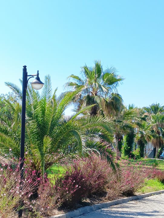 Gartenanlage J'adore Deluxe Hotel & Spa