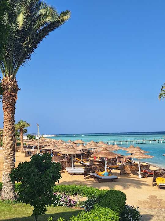 Ausblick Blue Reef Red Sea Resort