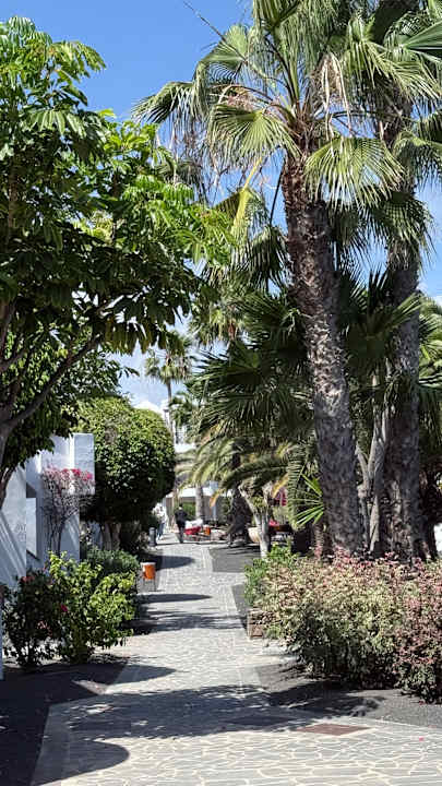 Gartenanlage allsun App.-Hotel Albatros