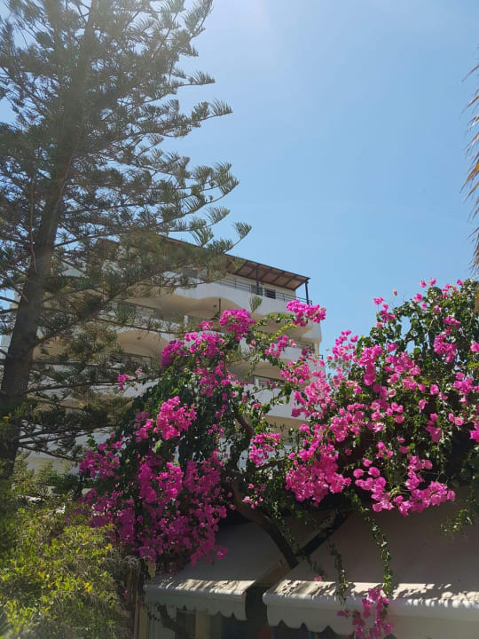 Farbenfroher Garten Apollonia Beach Resort & Spa