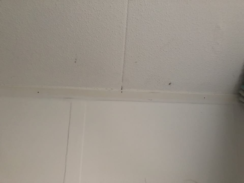 Zimmer Center Parcs Park Nordseeküste