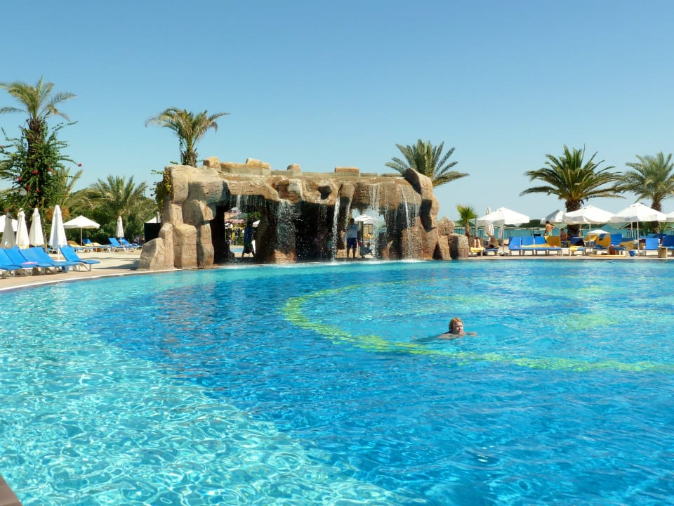 Traumpool Papillon Belvil