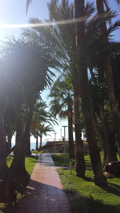 Gepflegte Gartenanlage Hotel Bonanza Playa