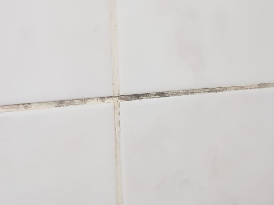 Zimmer Kleopatra Balik