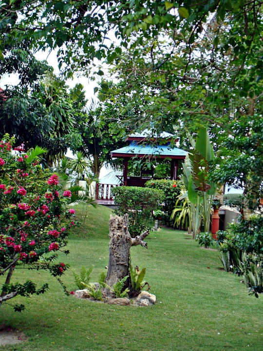 Schöner tropischer Garten Long Bay Resort Koh Phangan