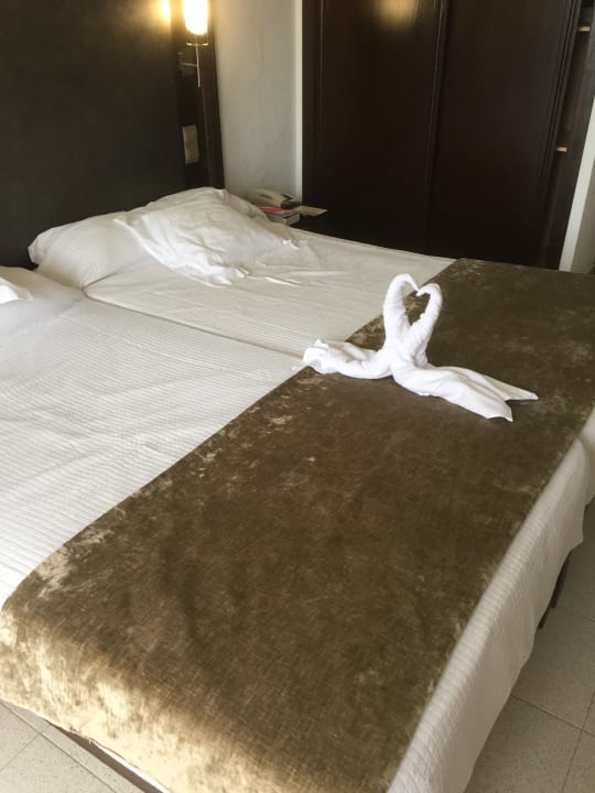 Zimmer Smy Portocolom