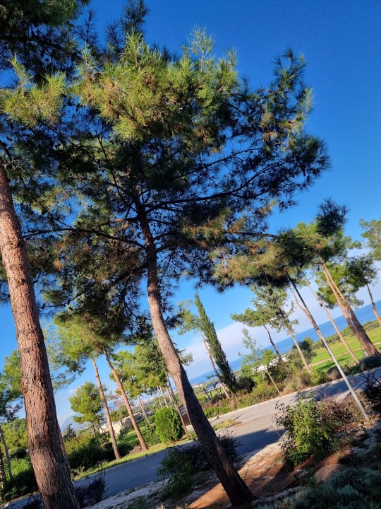 Gartenanlage Korineum Golf & Beach Resort