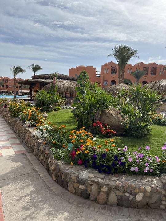 Gartenanlage Jaz Makadi Oasis Resort