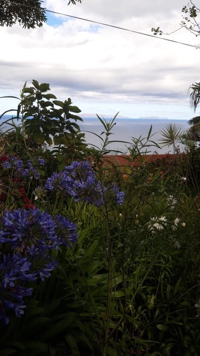 Gartenanlage Hotel Quinta Splendida Wellness & Botanical Garden