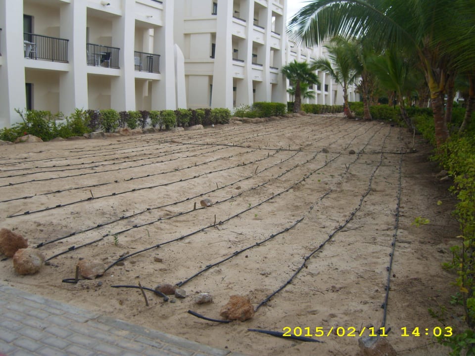 Welche Neubepflanzung im mittlerern Garten Hotel Riu Karamboa