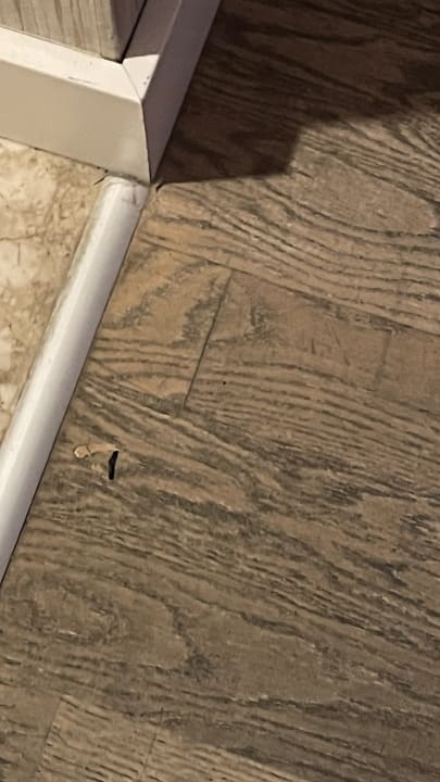 Zimmer A11 Hotel Obaköy