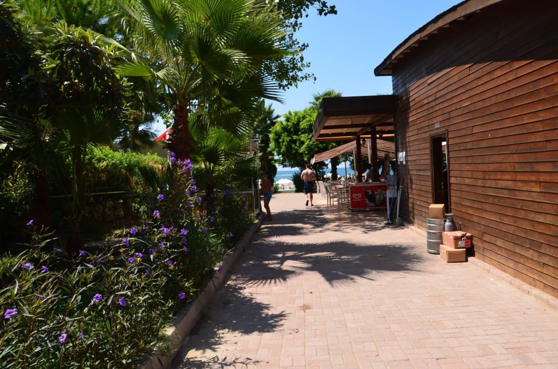 Weg von Strandbar zum Strand Seaden Corolla Hotel