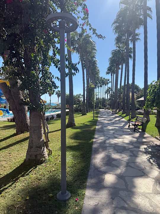 Gartenanlage Arum Barut Collection