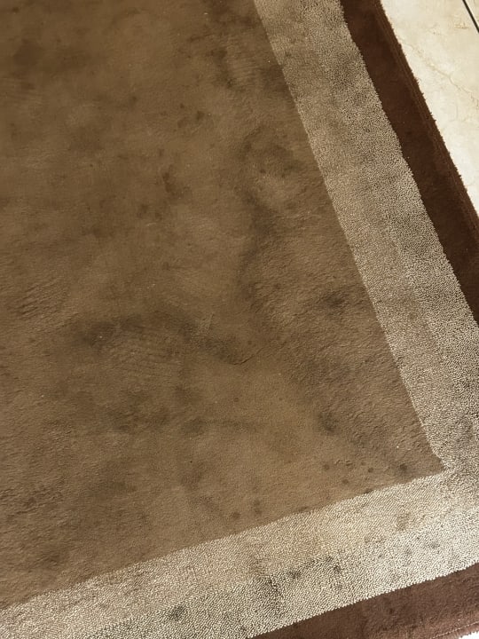 Zimmer Paradisus Princesa del Mar Resort & Spa - Adults only