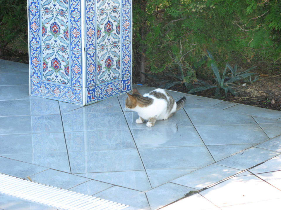 Club Ali Bey Manavgat Ali Bey Club