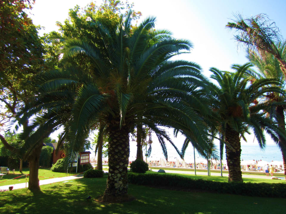 Schöne Gartenanlage Side Star Elegance