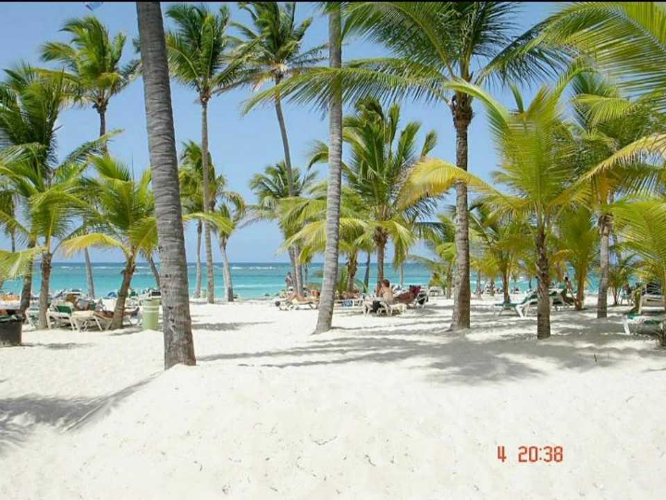 Traumhafter Strand Hotel Riu Bambu