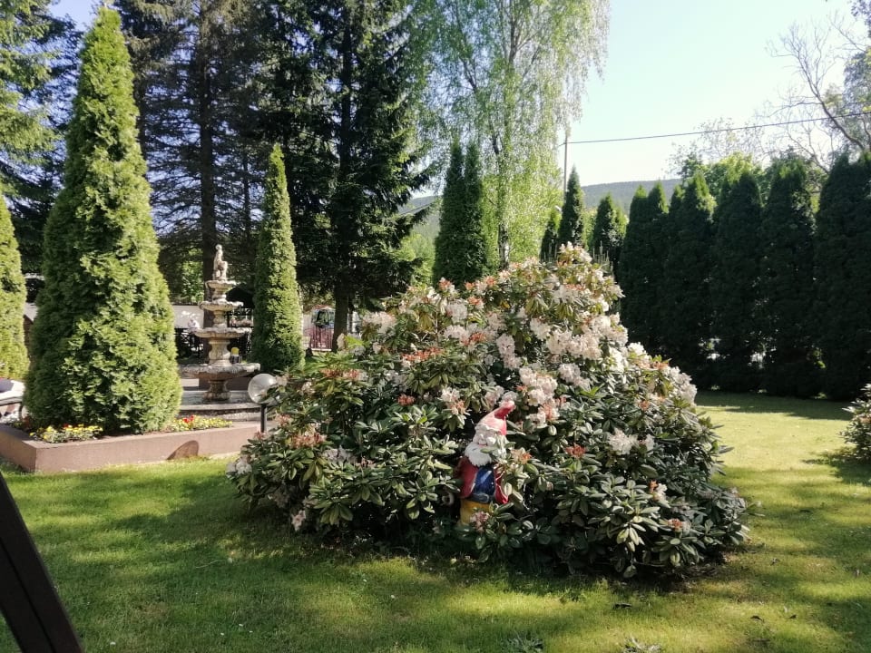 Gartenanlage Hotel Pod Jeleniem