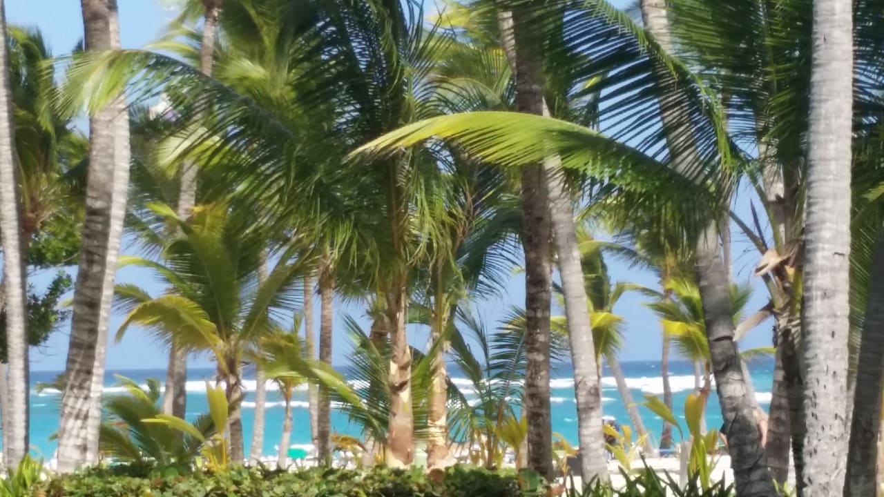 Unser Ausblick beim Essen Hotel Riu Bambu