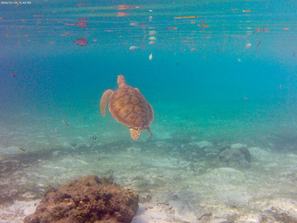 Strand Kuredu Island Resort & Spa