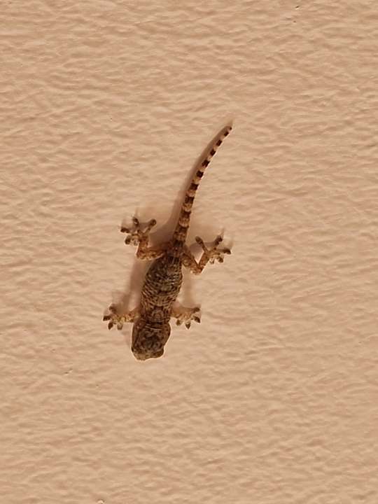 Sonstiges Grupotel Macarella Suites and Spa