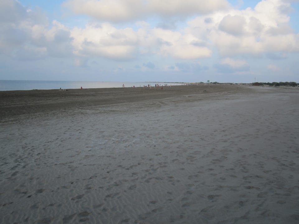 Playa 3 Ferienhäuser Delta Chalets Riumar