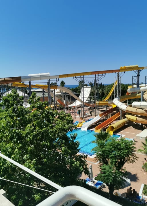 Zimmer AQI Pegasos World