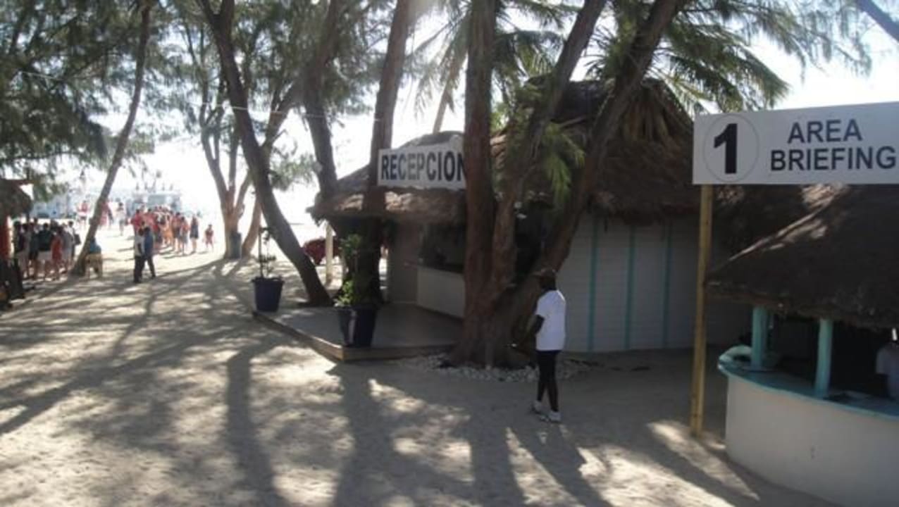 Abfahrt zum Caribean Day TRS Turquesa Hotel - Adults only