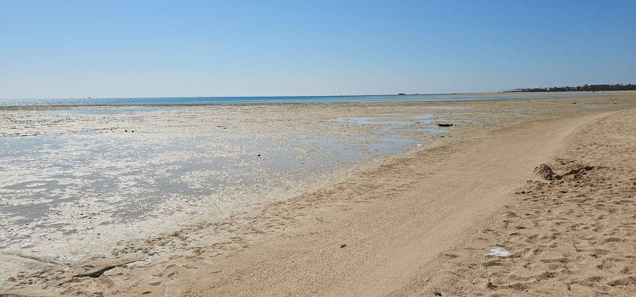 Strand JAZ Elite Asteria