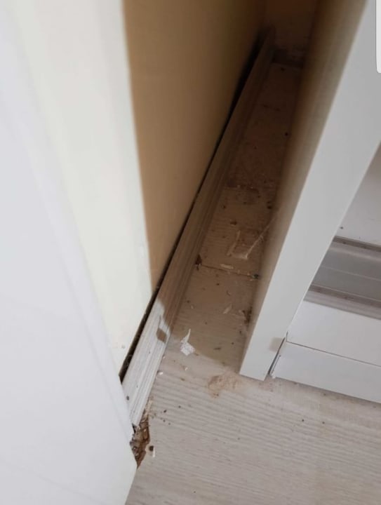 Zimmer Golden Beach Bodrum