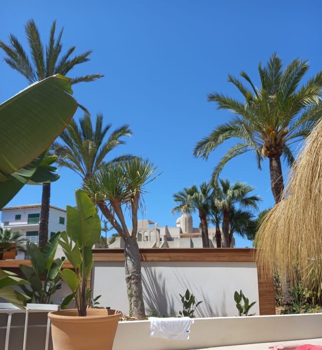 Ausblick Hotel Bahia del Sol