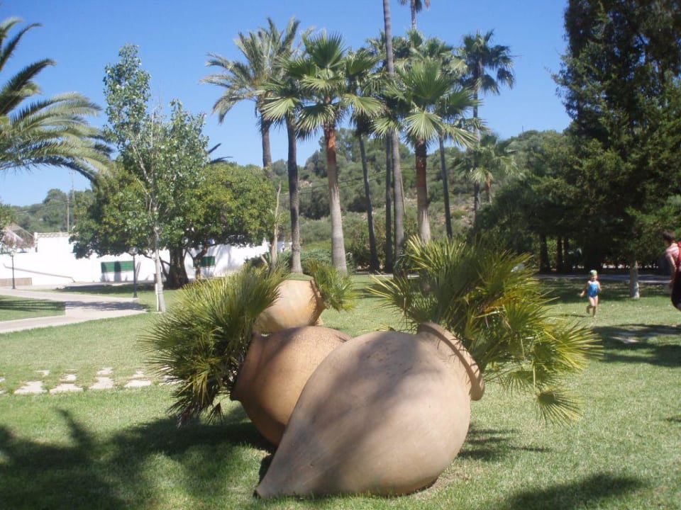Ogród hotelowy Grupotel Cala Marsal Nature Hotel
