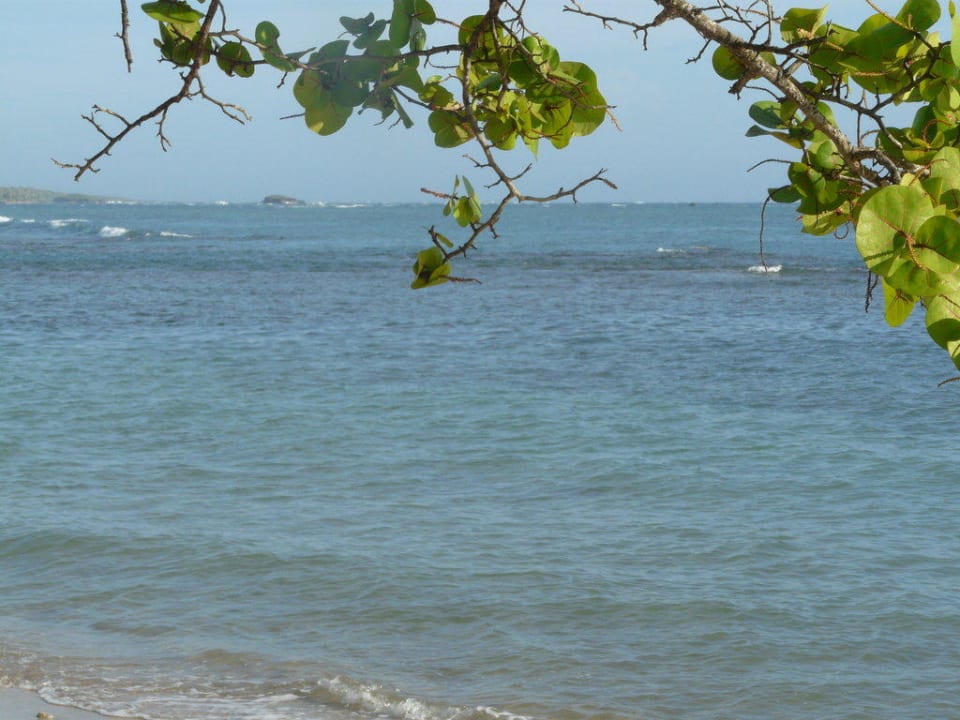 Strand am frühen Morgen Playabachata Hotel
