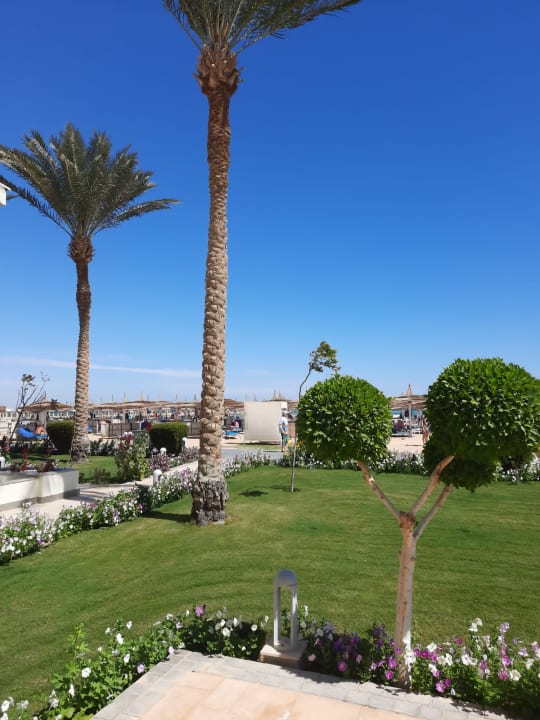 Außenansicht Pickalbatros Dana Beach Resort - Hurghada