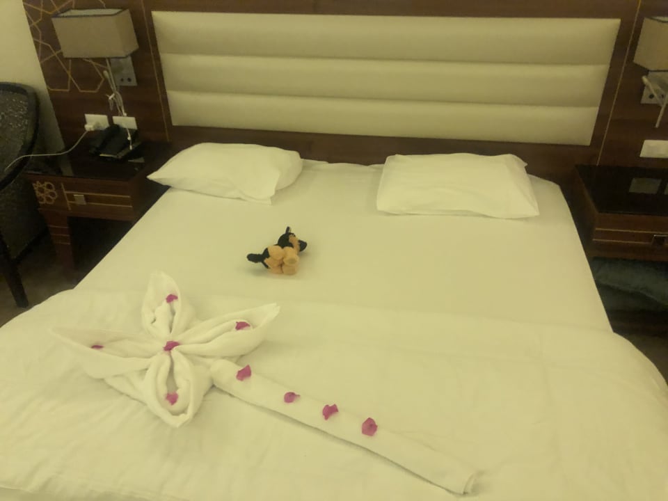 Zimmer Beach Albatros Resort