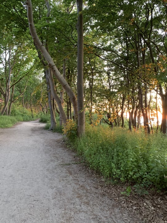 Strand feels Beach Club Hotel