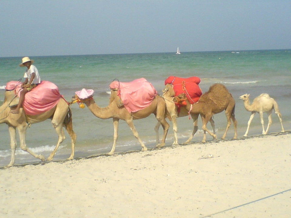 Ohne Worte Djerba Aqua Resort