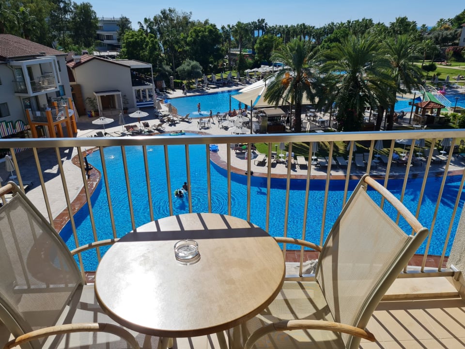Zimmer Arum Barut Collection