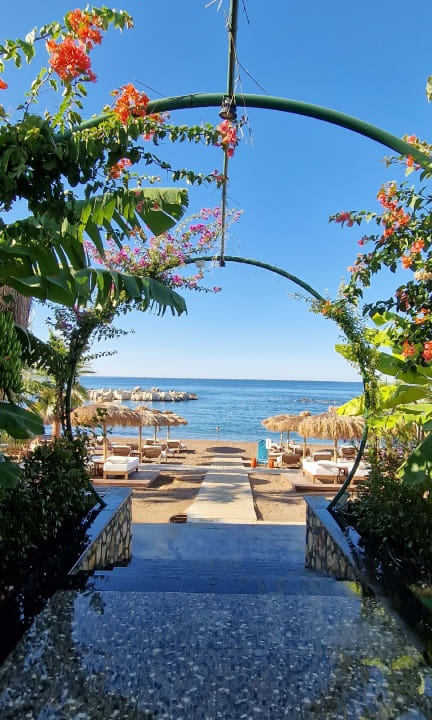 Strand Rubi Platinum Sign