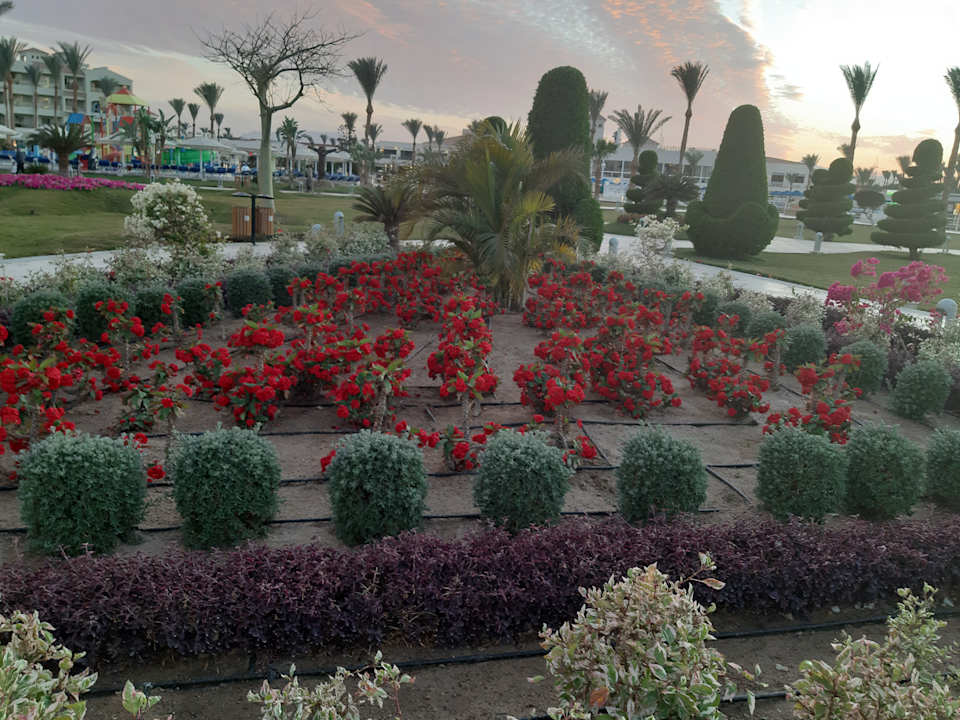 Garten Pickalbatros Dana Beach Resort - Hurghada
