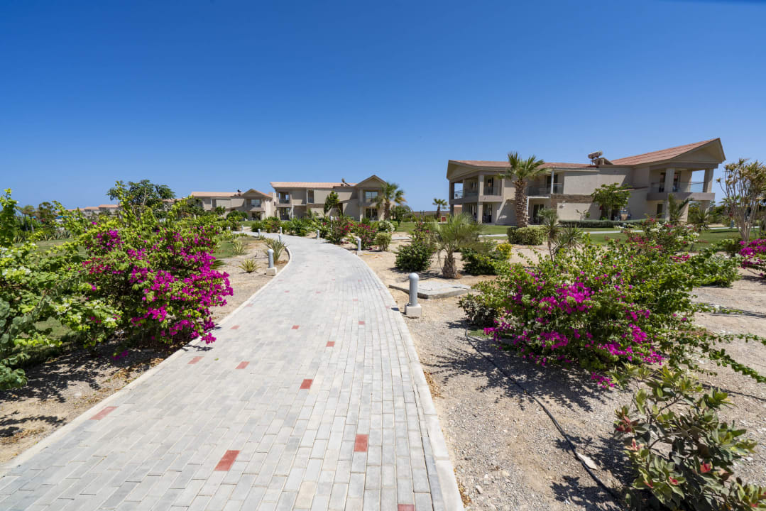 Gartenanlage Pickalbatros Sea World Resort - Marsa Alam