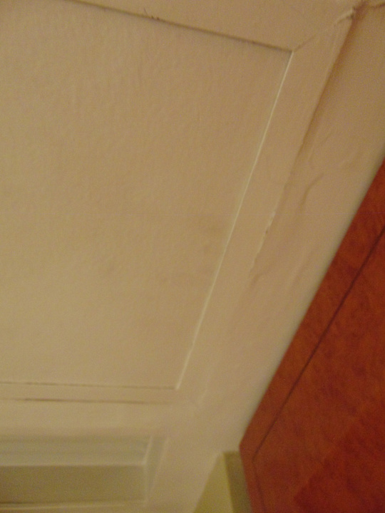 Zimmer Hotel Hyatt Regency Delhi