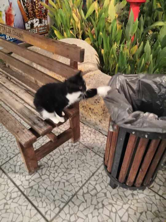 Gartenanlage Eftalia Ocean Resort & Spa