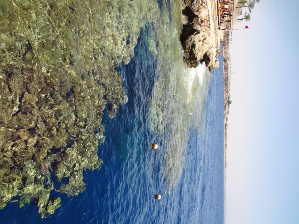 Meer The Grand Hotel Sharm El Sheikh