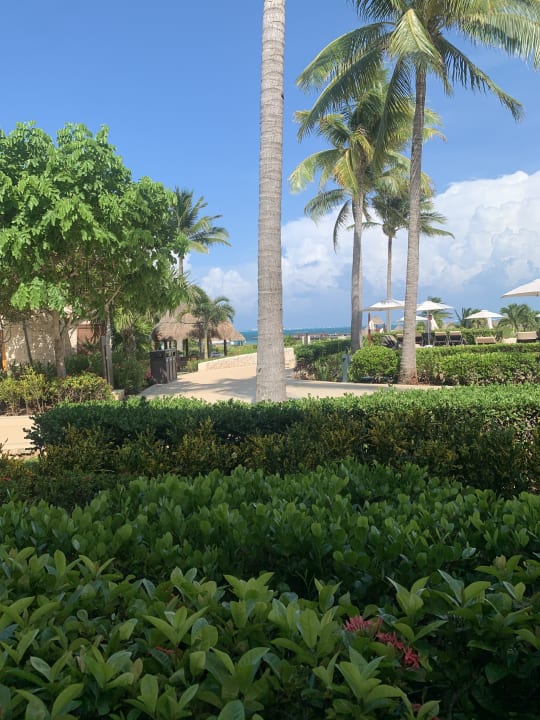 Gartenanlage Dreams Playa Mujeres Golf & Spa Resort