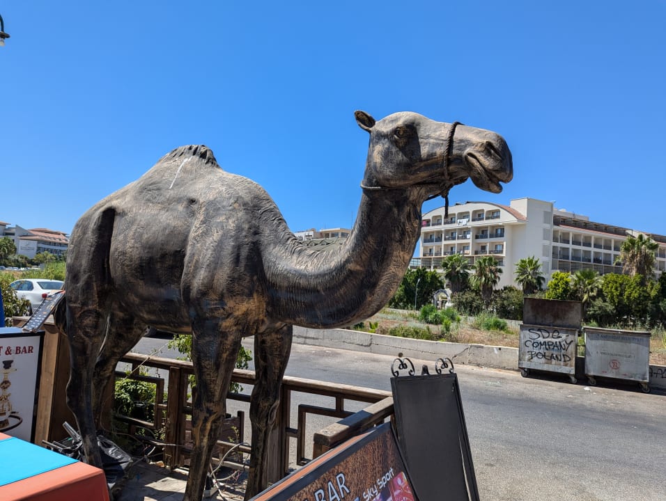 Sonstiges Aydinbey Kings Palace & Spa