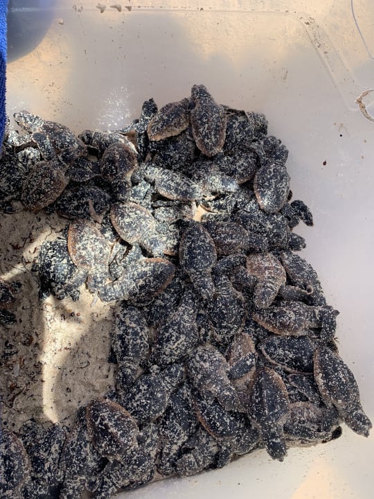 Sonstiges Grand Riviera Princess All Suites & Spa Resort